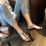 Women Flats Sandals Pointed Toe Narrow Band Design Sandals Ankle Buckle Strap Clip Toe Roman Style Casual Beach Shoes Summer