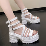 Women's Fashion Ankle Strap Wedges Sandals Platform Chunky Heel Sandals for Women Summer Thick Bottom Gladiator Shoes Woman